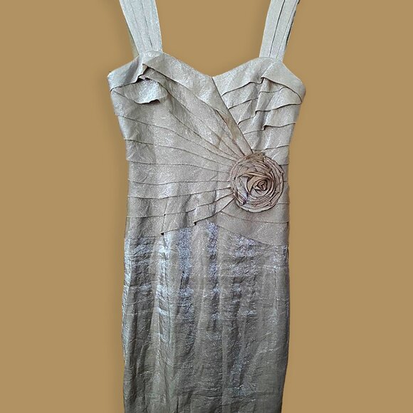 MAGGY LONDON Melanie Lyne Raffle Dress Champagne size 4 - Picture 1 of 8